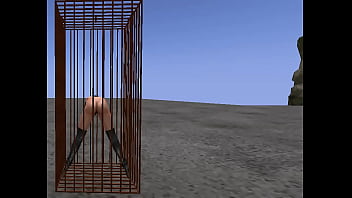BDSM cage SL stuff instruction